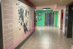 Özel Antalya Dore Okulları İlkokulu - 24