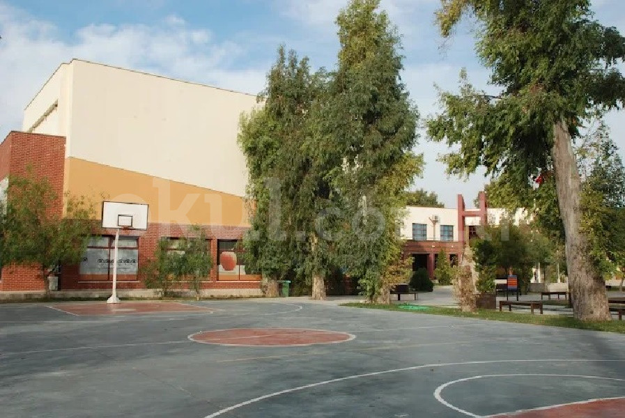 Özel Gelişim Koleji Anaokulu - 6
