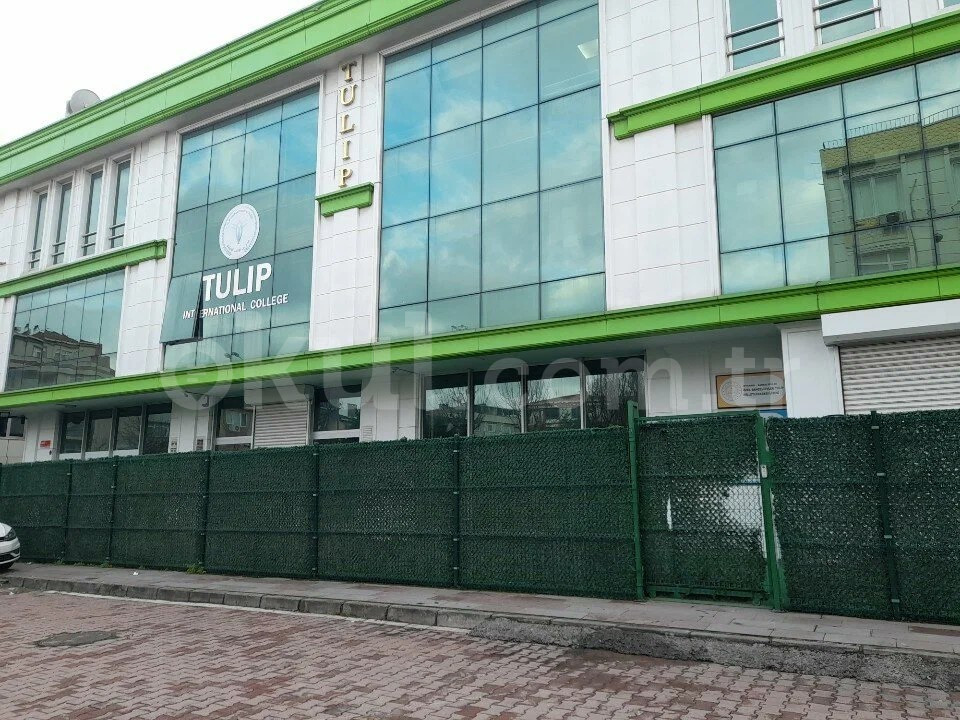Özel Tulip International School İlkokulu - 1