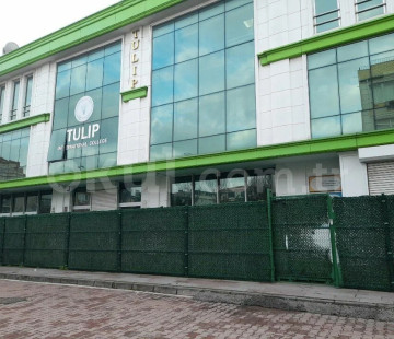 Özel Tulip International School İlkokulu