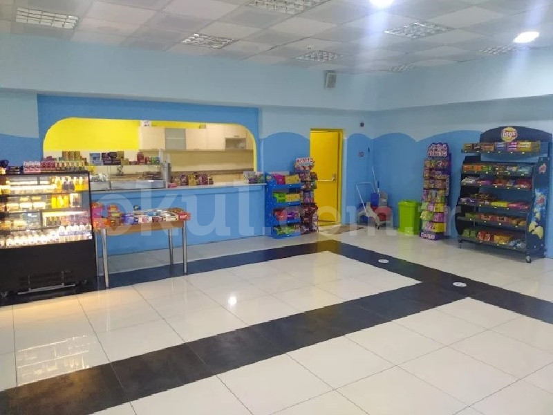 Özel Manara International School Anaokulu - 7