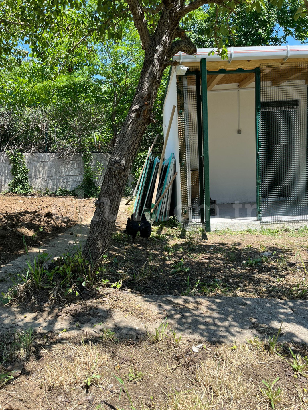Özel Yönelim Çocuk Üniversitesi Anaokulu - 40