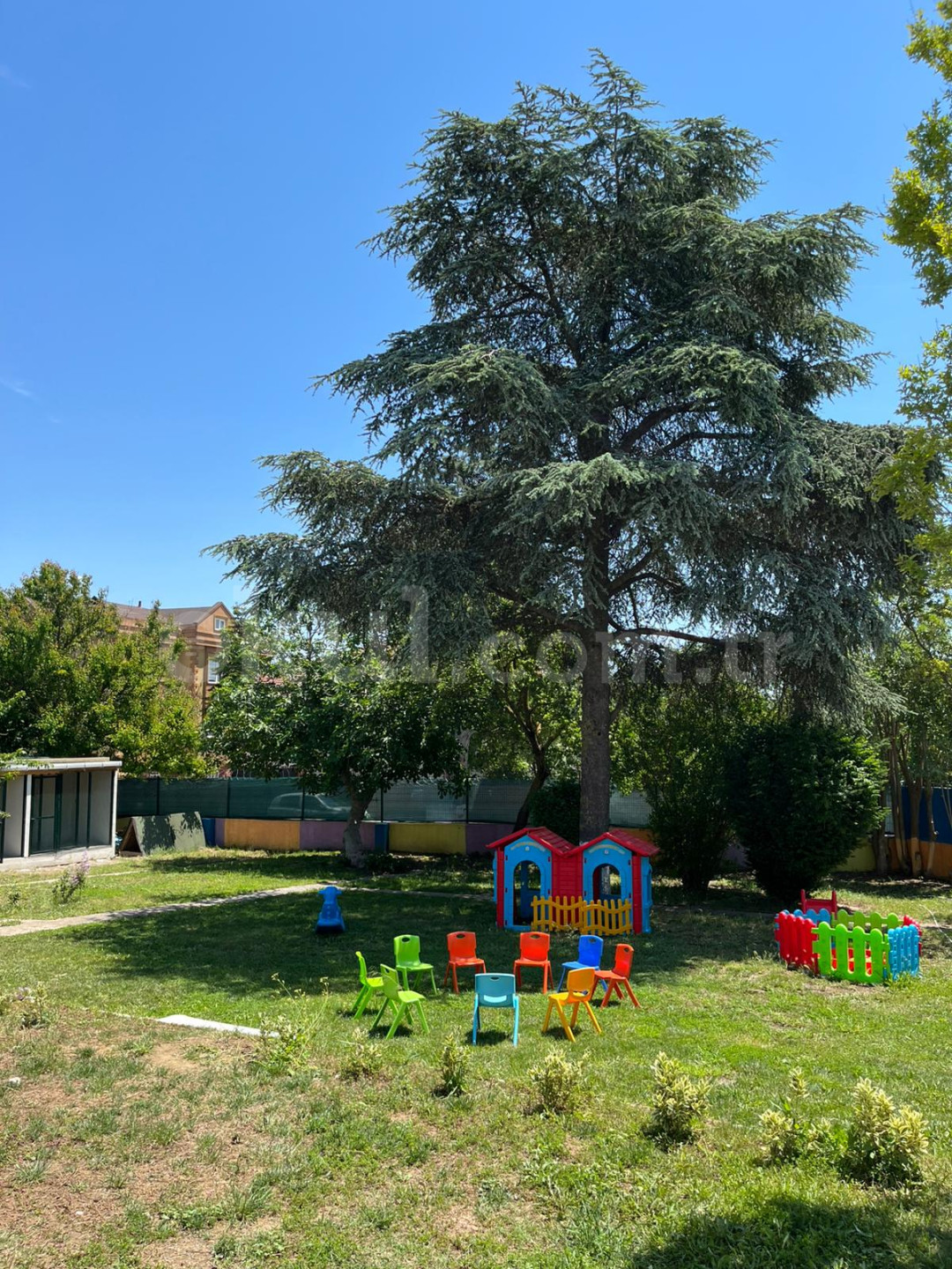 Özel Yönelim Çocuk Üniversitesi Anaokulu - 3