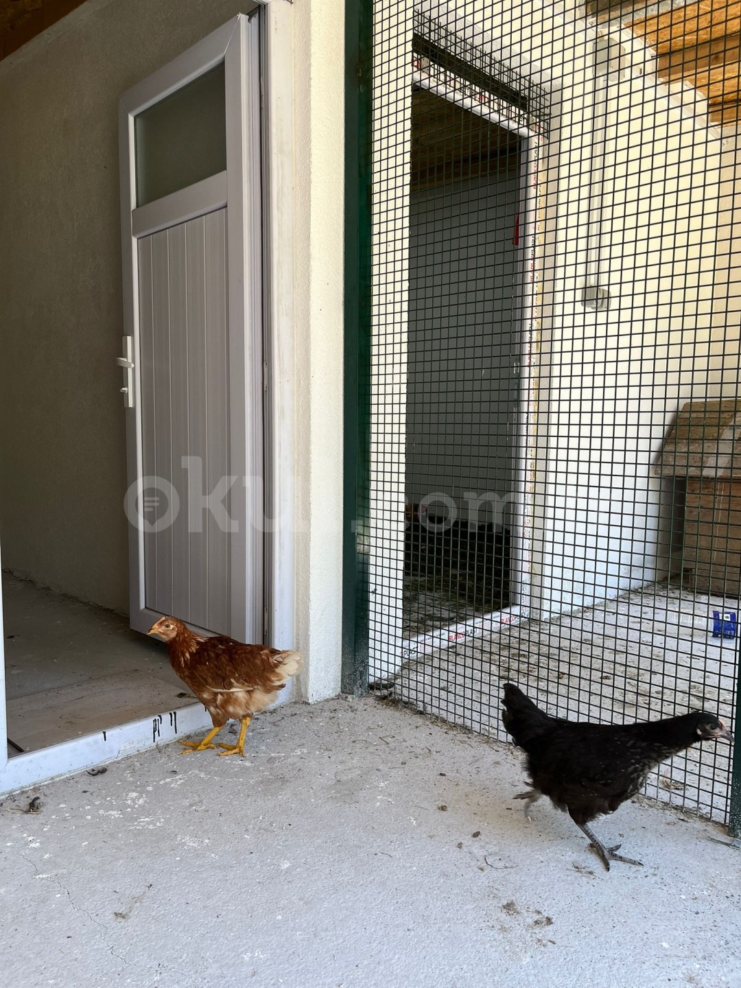 Özel Yönelim Çocuk Üniversitesi Anaokulu - 41