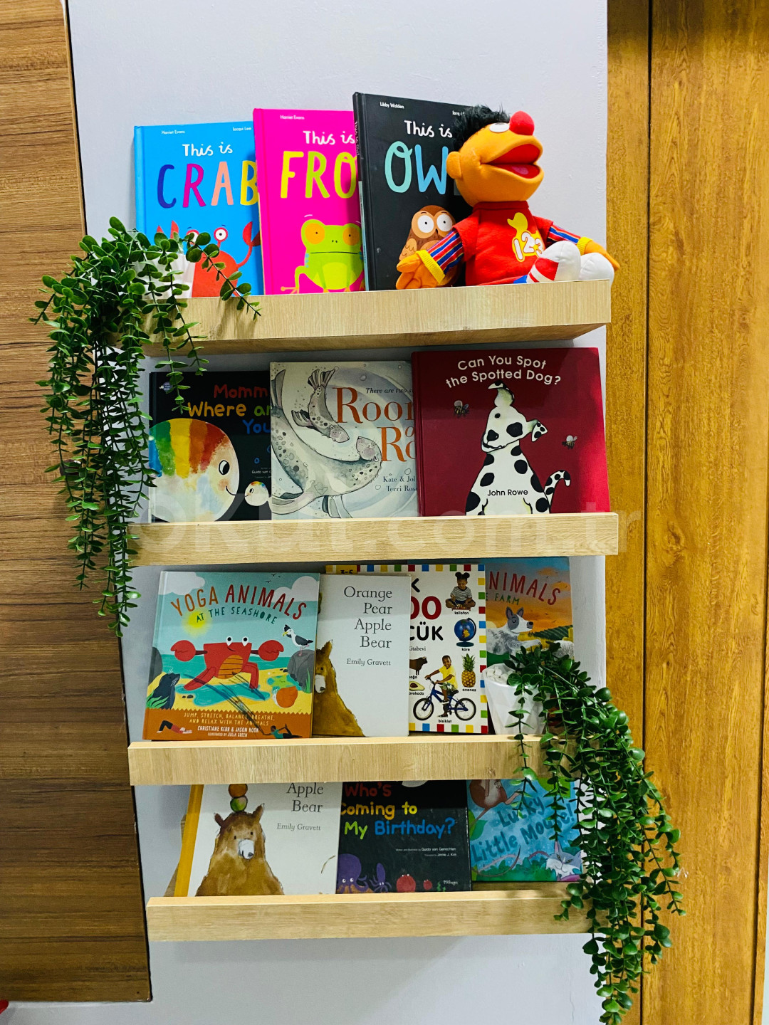 Özel Madenler Batışehir Koleji Anaokulu - 34