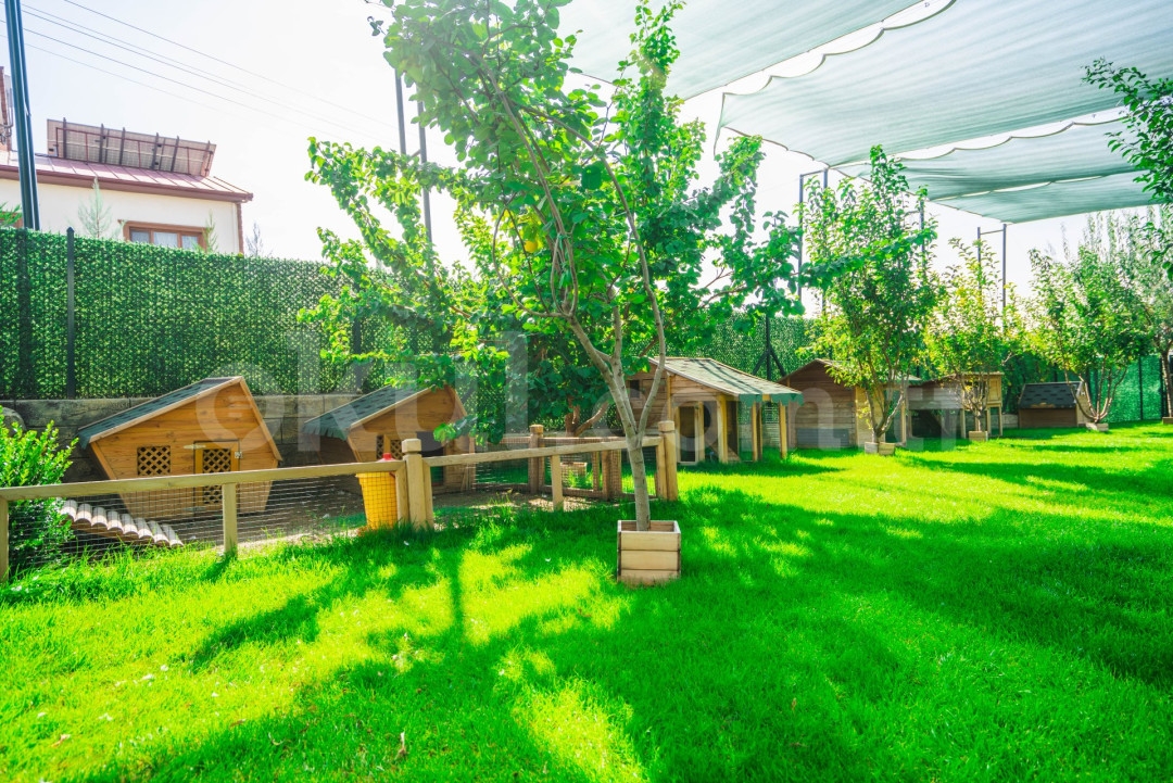 Turkish American Daycare Center & Primary Education - 21