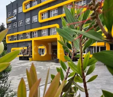 Genel Bakış