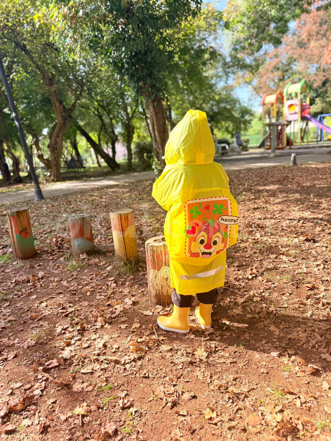 Özel Alfa Çocuk Anaokulu - 5