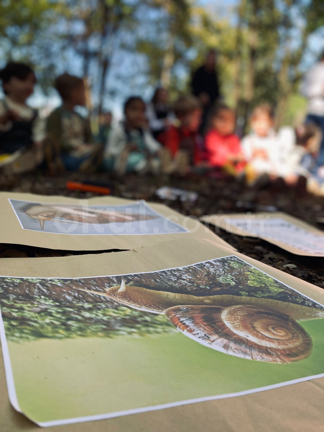 Özel Alfa Çocuk Anaokulu - 8