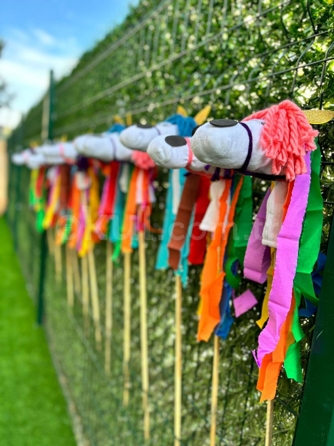 Özel Maya Doğa Anaokulu - 5