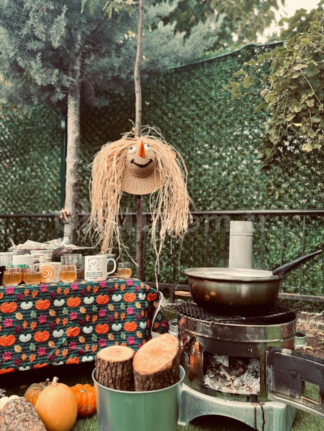 Özel Maya Doğa Anaokulu - 3