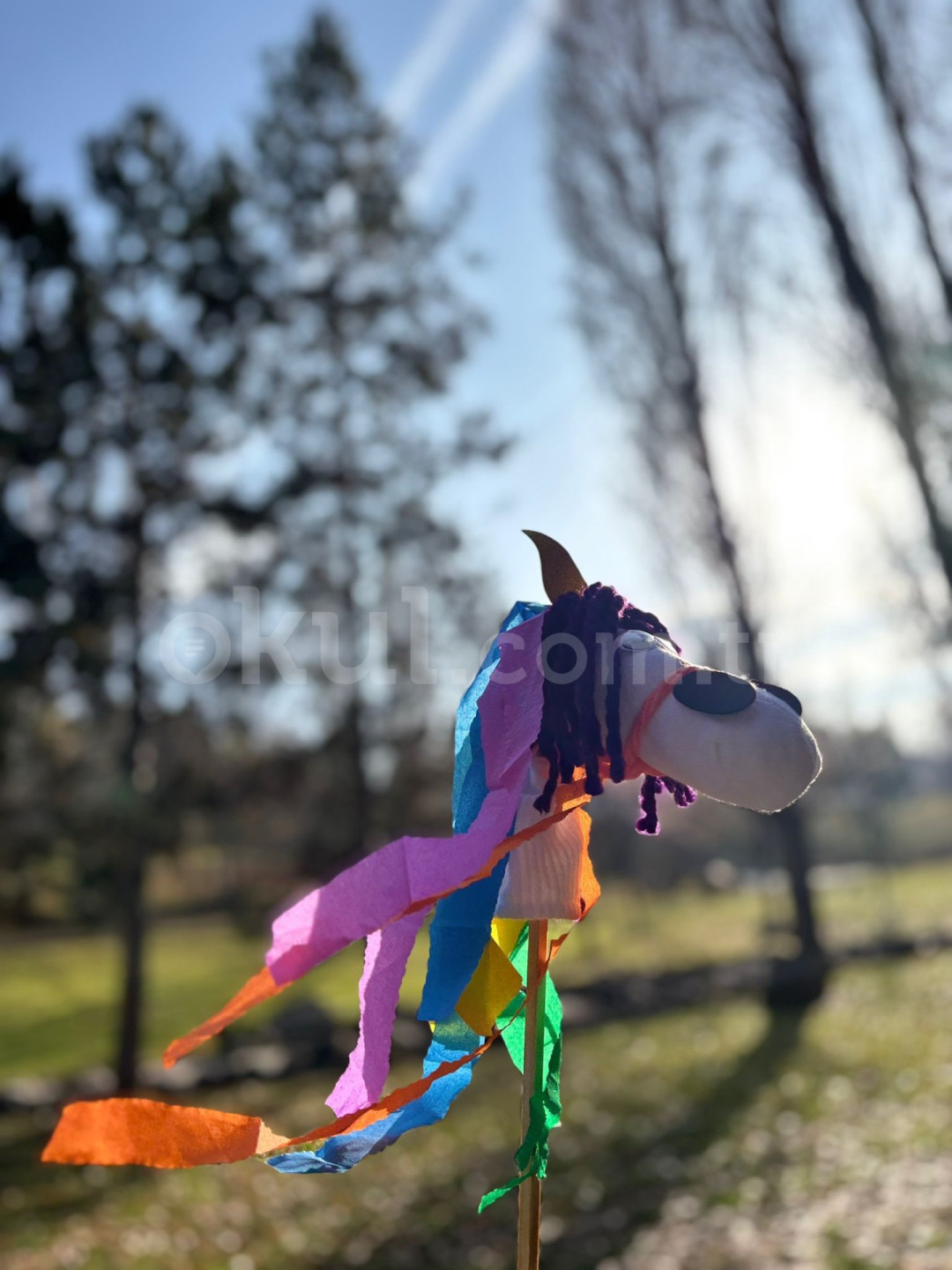 Özel Maya Doğa Anaokulu - 6