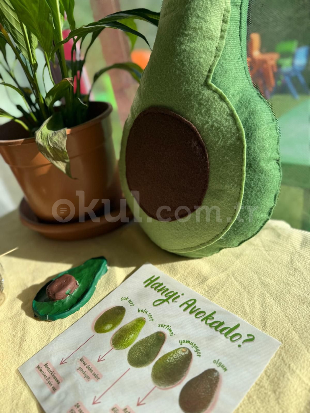 Özel Maya Doğa Anaokulu - 2