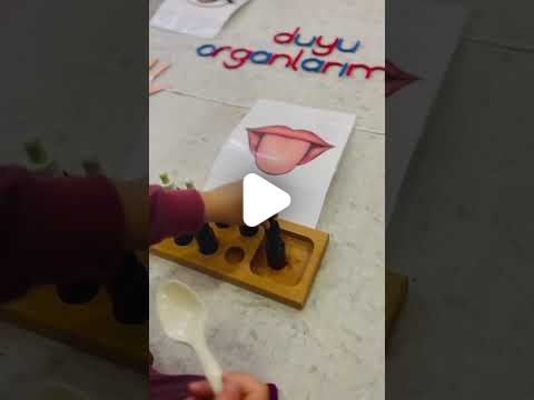 Özel Özgür Çocuklar Montessori Anaokulu - 31