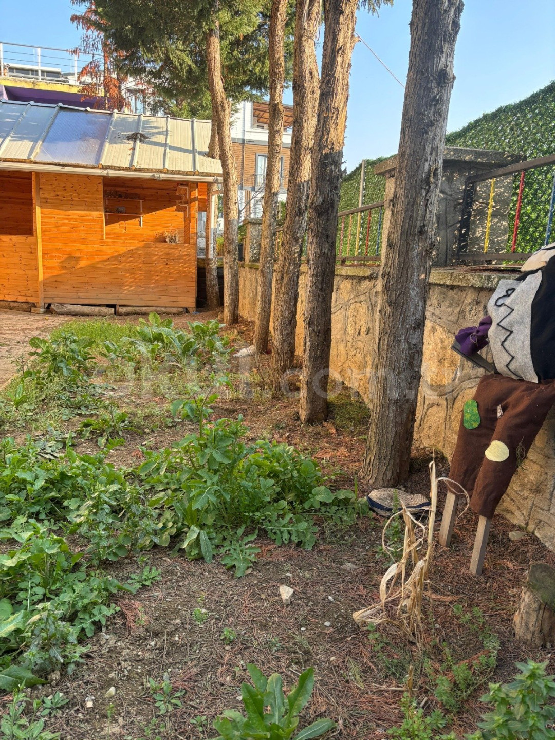 Özel Mucit Akademi Anaokulu - 8