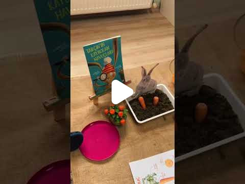 Özel Mucit Akademi Anaokulu - 6