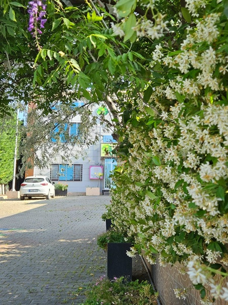 Özel Bir Orman Anaokulu - 8