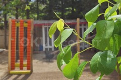 Özel Bir Orman Montessori Anaokulu - 8