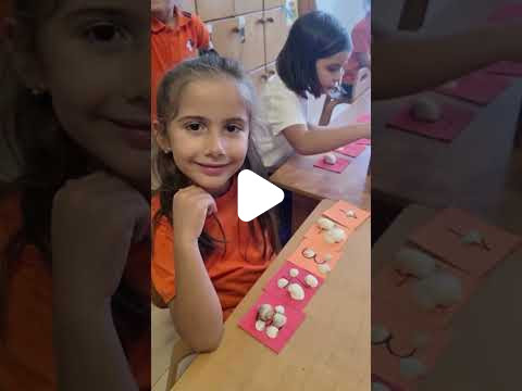 Özel Özlüce Artı Okulları İlkokulu - 24