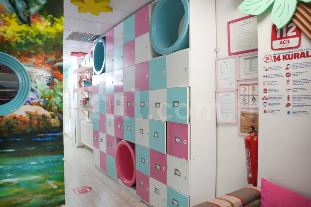 Özel Bornova Çınar Ağacı Anaokulu - 15