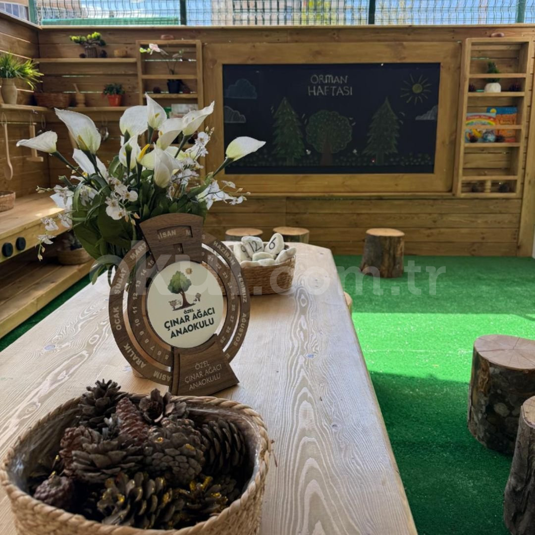 Özel Bornova Çınar Ağacı Anaokulu - 1