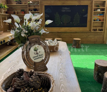 Özel Bornova Çınar Ağacı Anaokulu