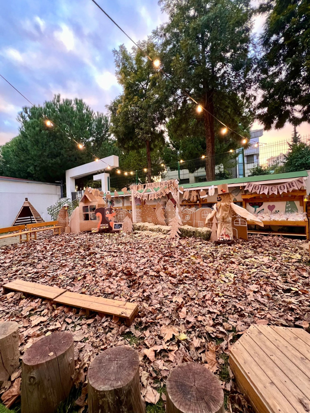 Özel Kaplan Yuvası Anaokulu Çınar Kampüsü - 4