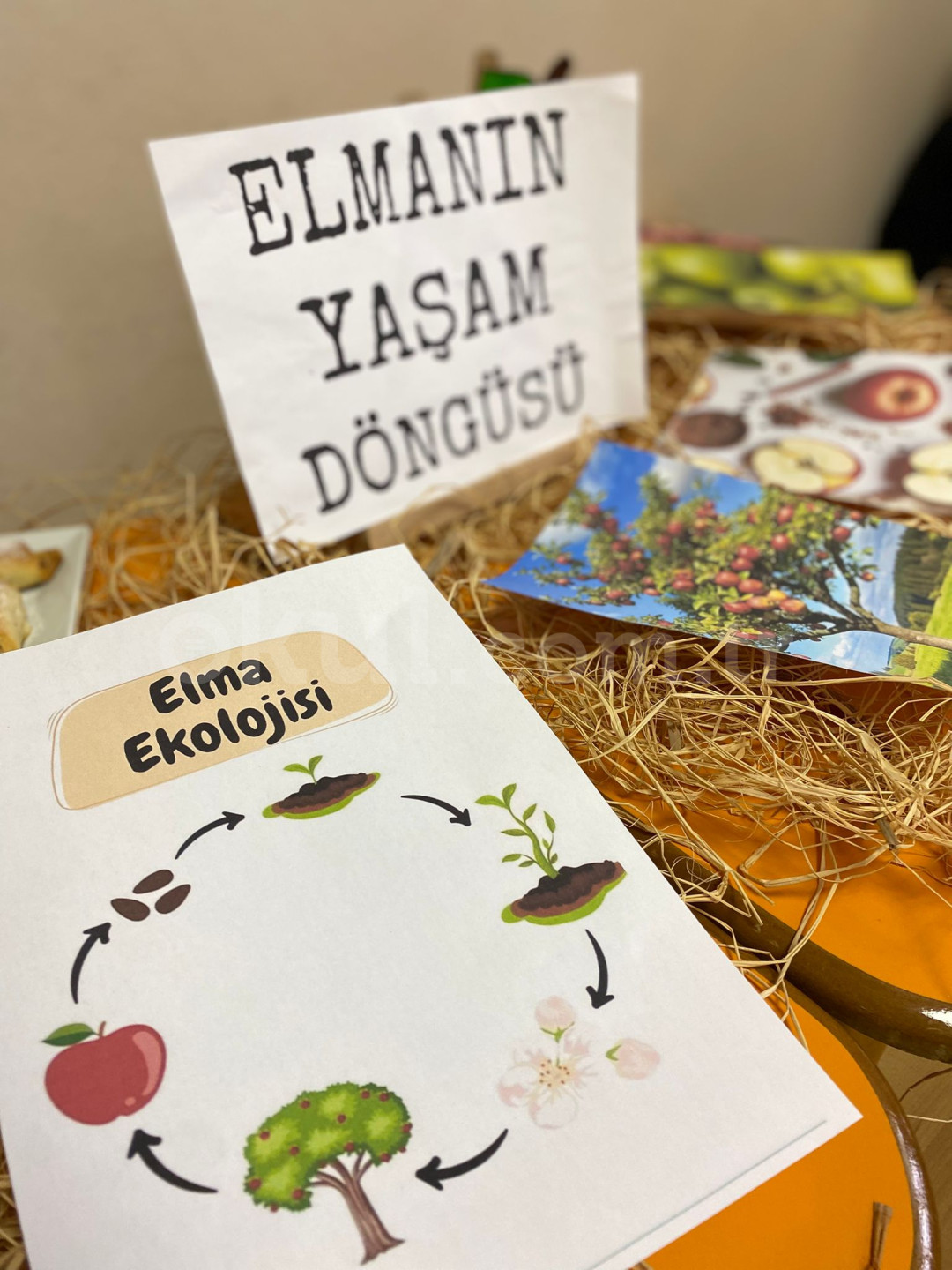 Özel Bornova Lale Bahçesi Anaokulu - 29