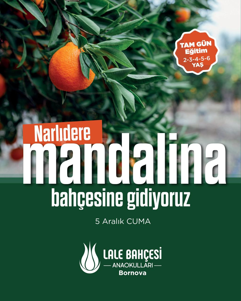 Özel Bornova Lale Bahçesi Anaokulu - 31