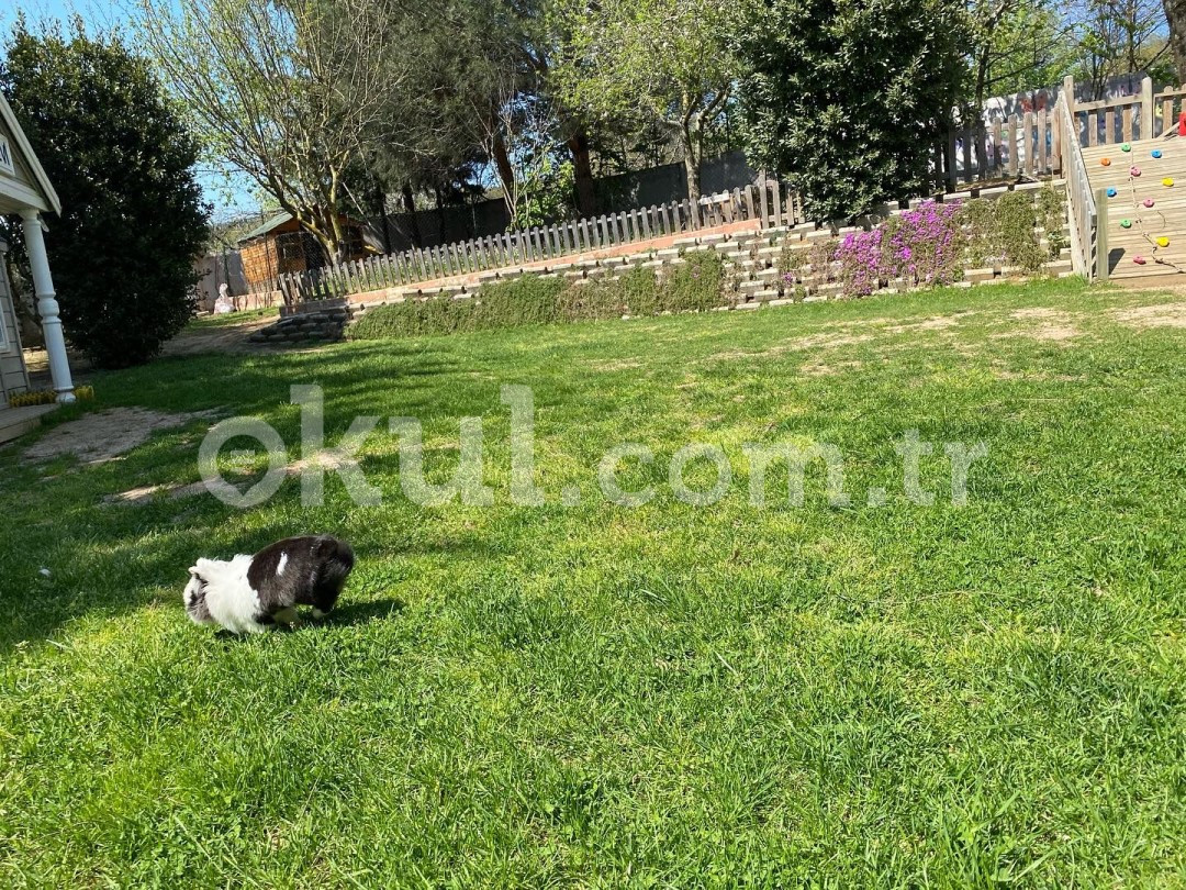 Özel Düşünür Koleji Anaokulu Çekmeköy 2 Kampüsü - 7
