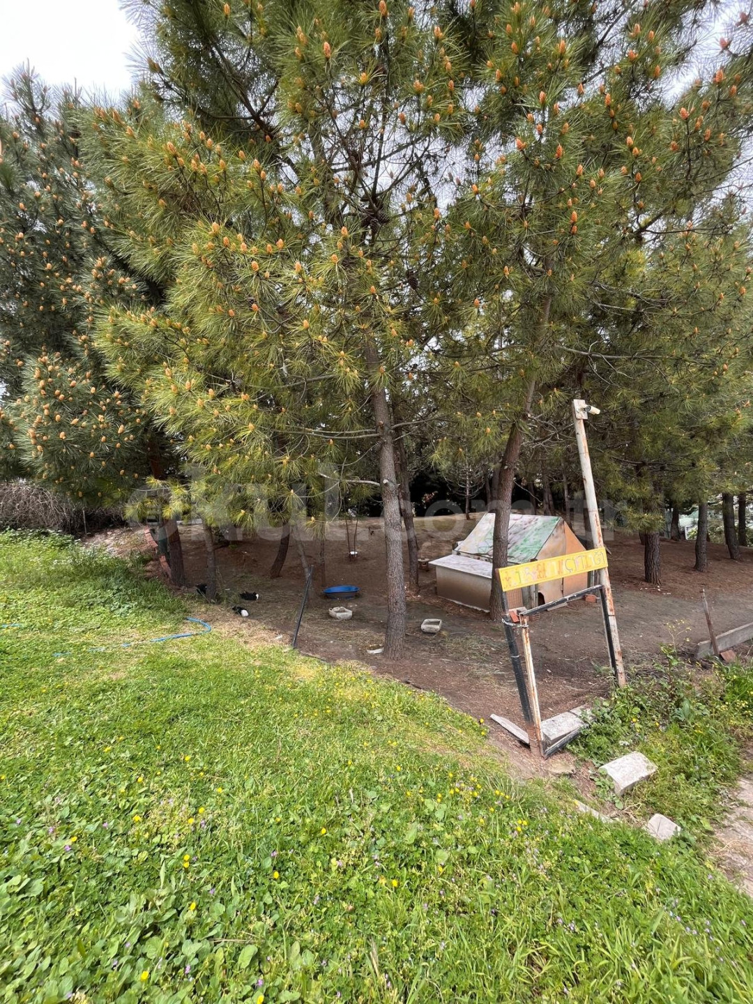Özel Bahçeşehir Era Koleji Anaokulu - 6