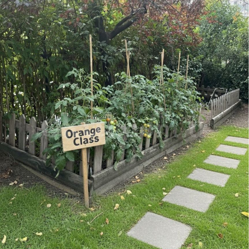 Özel Başakşehir Batışehir Anaokulu - 3