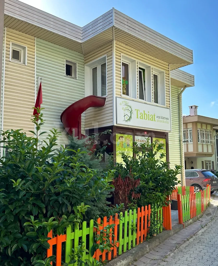 Genel Bakış