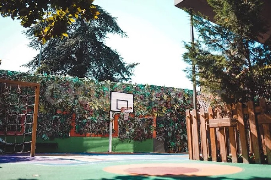 Özel Etiler ELEV TED AD Okulları Anadolu Lisesi - 11