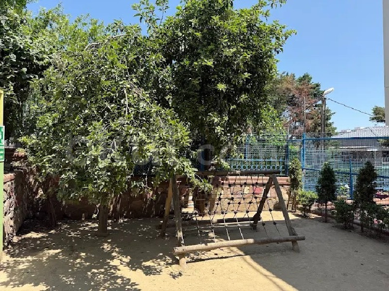 Özel Bahçelievler Çınar Akademi İlkokulu - 4