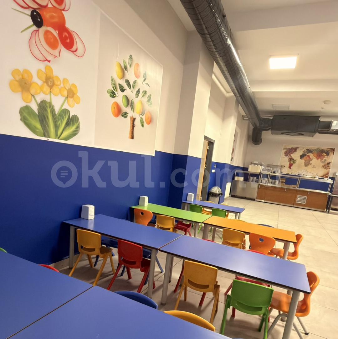 Özel Avcılar Sınav Koleji Anaokulu - 27