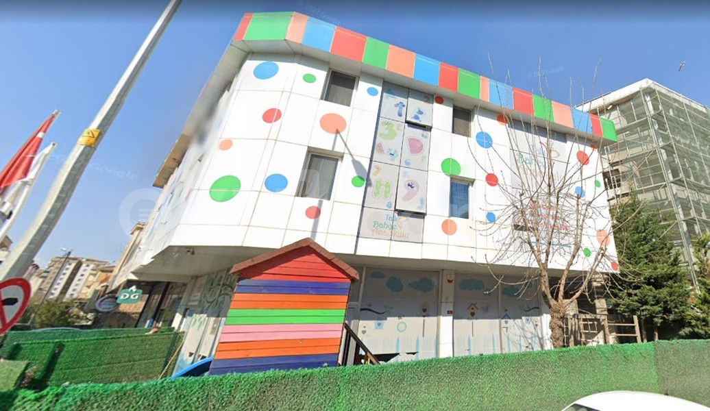 Genel Bakış
