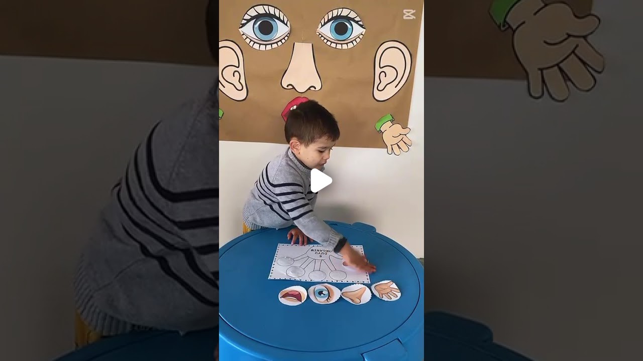 Özel Arnavutköy Kırlangıç Çocuk Anaokulu - 49