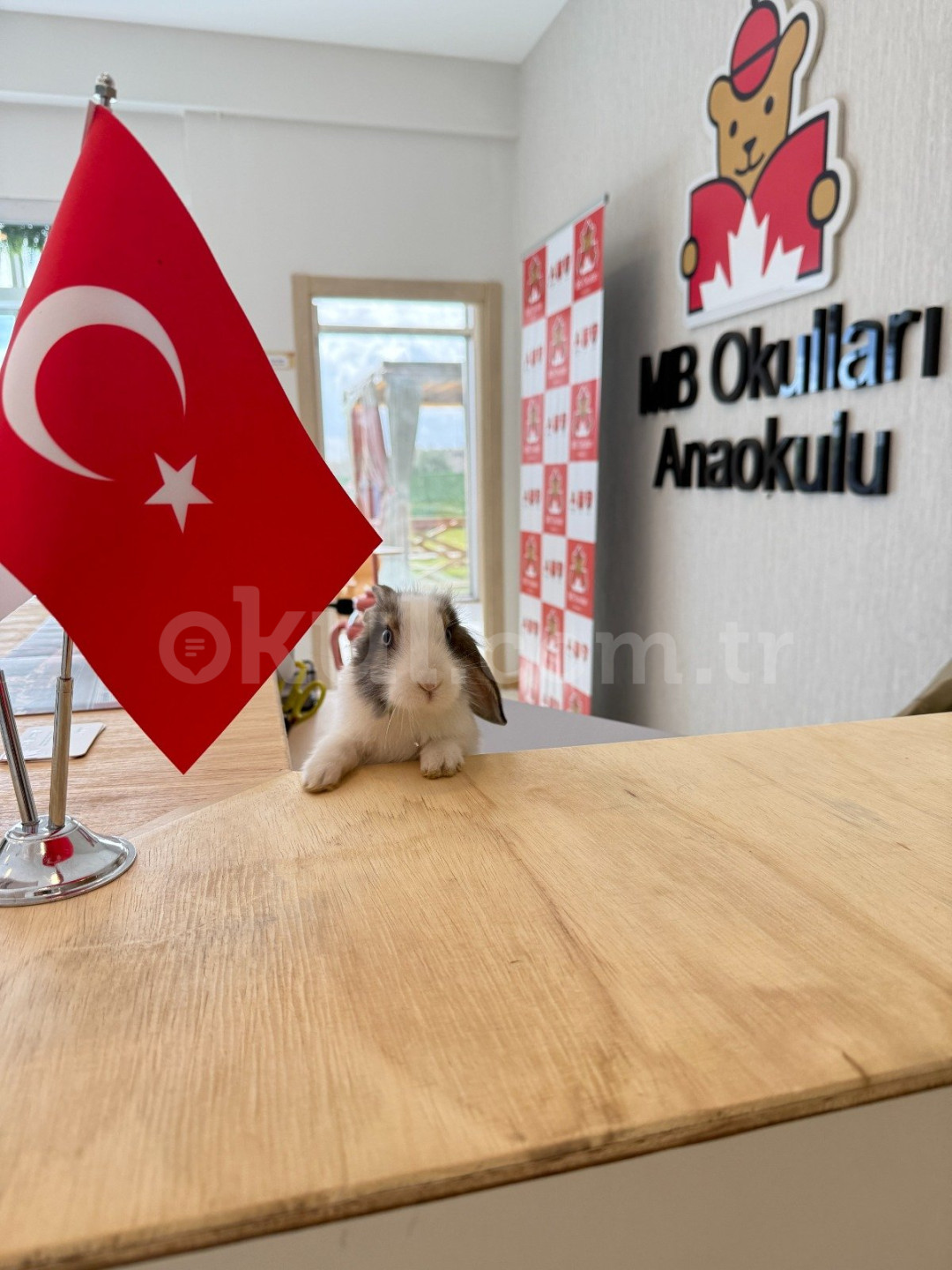 Özel Maple Bear Alkent Anaokulu - 40