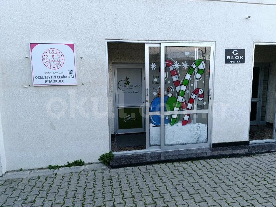 Özel Zeytin Çekirdeği Anaokulu