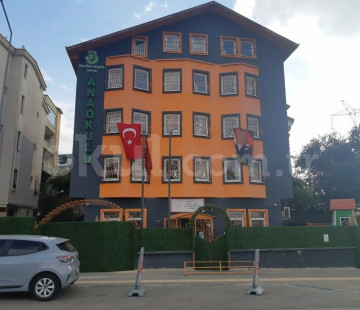 Genel Bakış