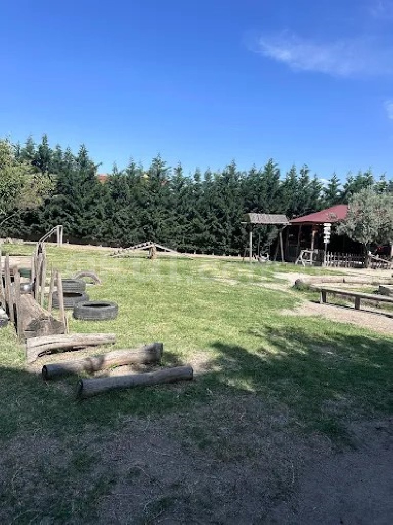 Özel Doğa Dostları Anaokulu - 10