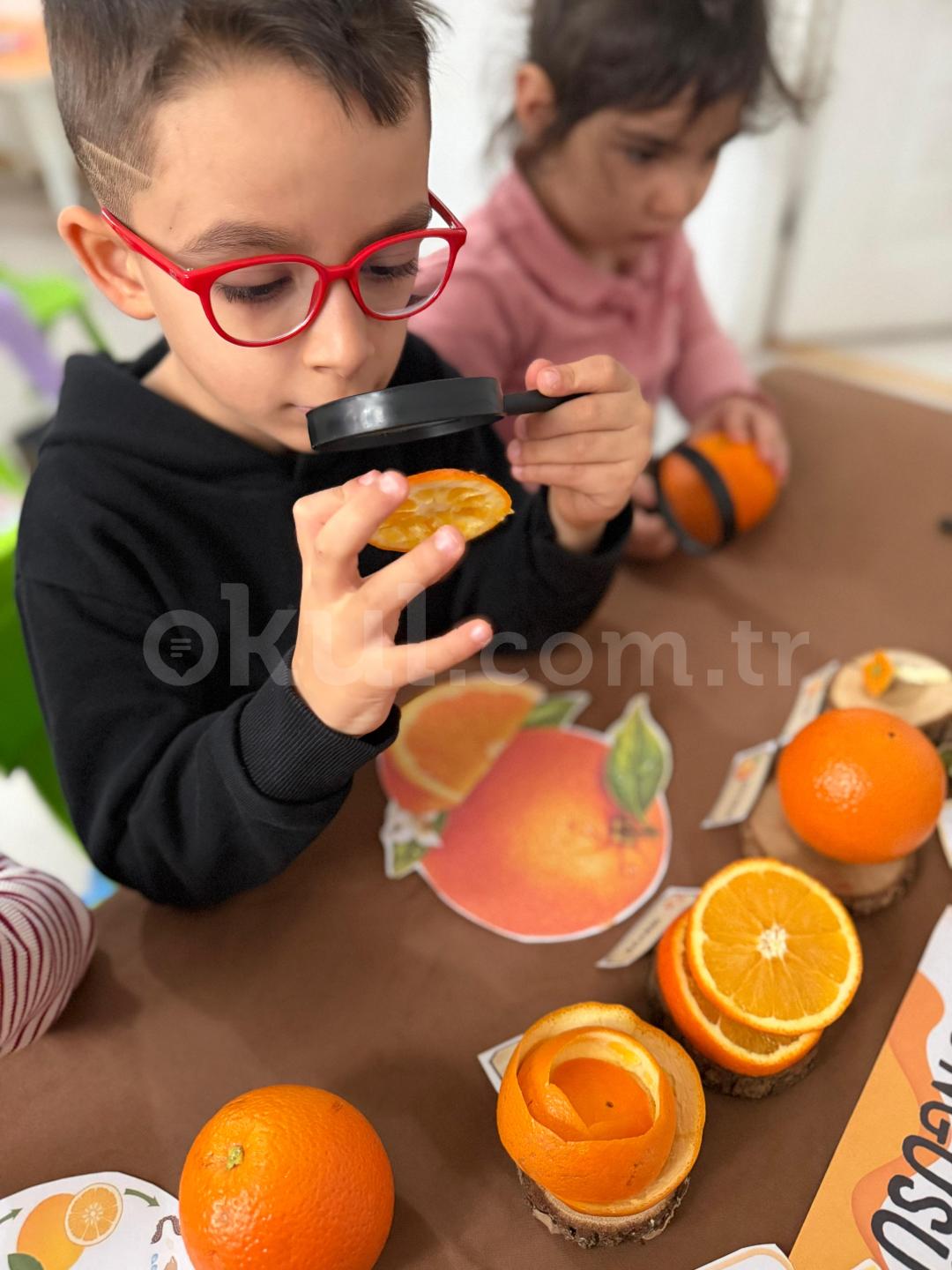 Özel Uzay Kampüsü Anaokulu - 47