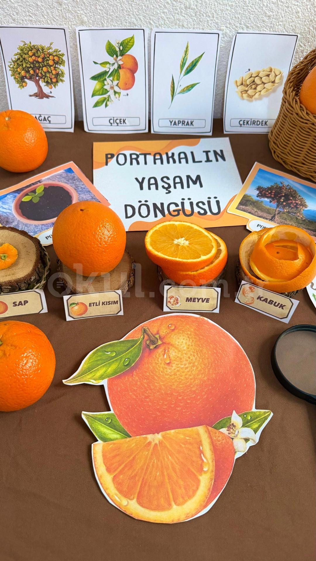 Özel Uzay Kampüsü Anaokulu - 46