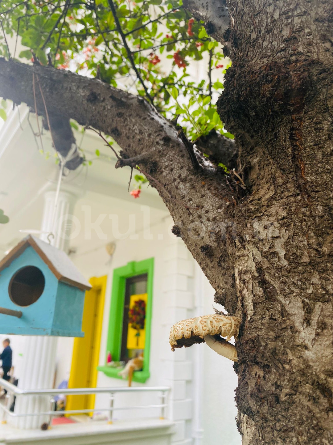 Özel Pendik İda Anaokulu - 15