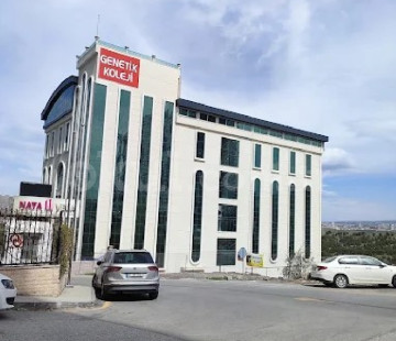 Genel Bakış