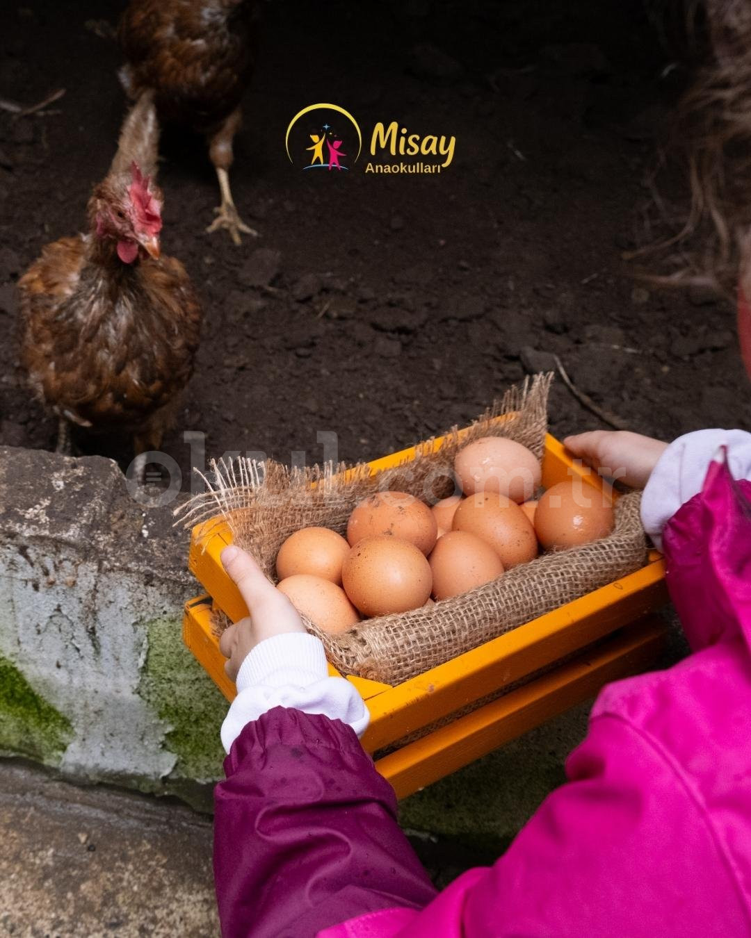 Özel Başakşehir Misay Anaokulları - 33