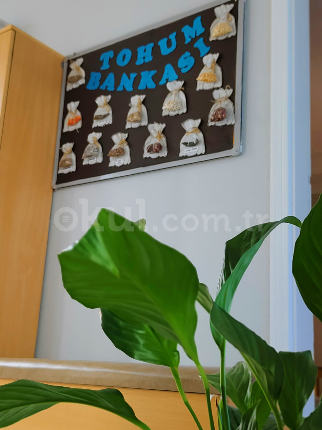 Özel Başakşehir Misay Anaokulu - 15