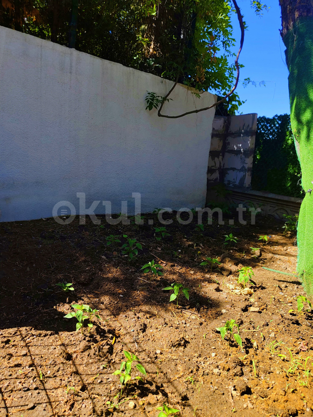 Özel Başakşehir Misay Anaokulu - 4