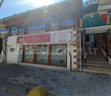 Genel Bakış
